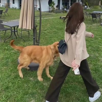 极地暗杀第三季